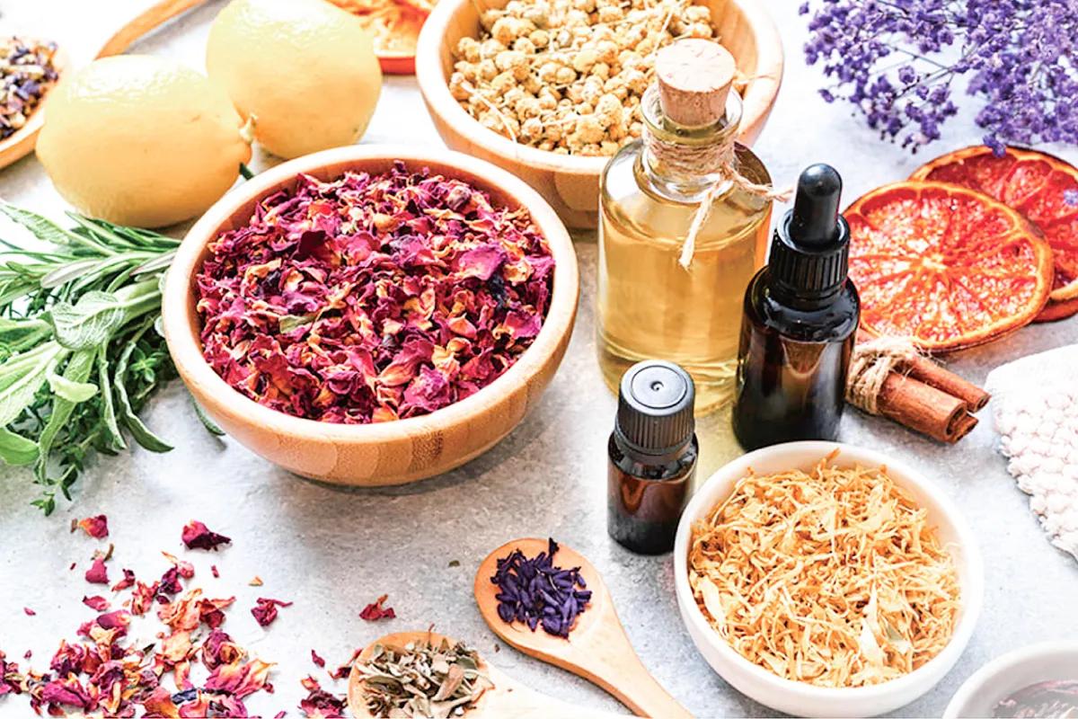 Natural plant extraction ingredients